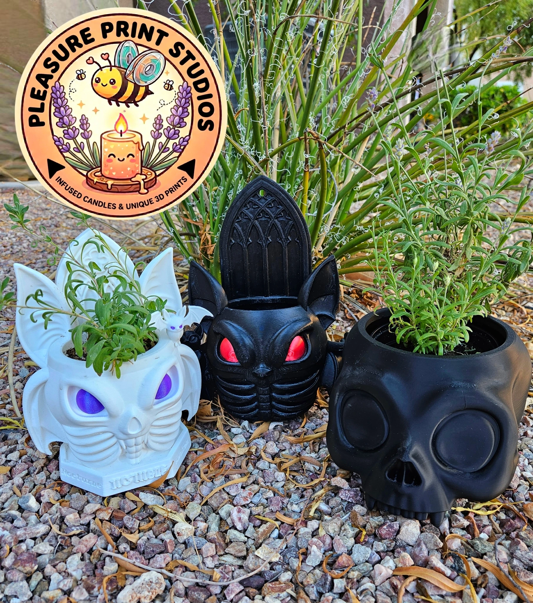 three planters with plants and logo